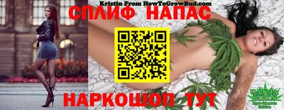 стаф Краснодар