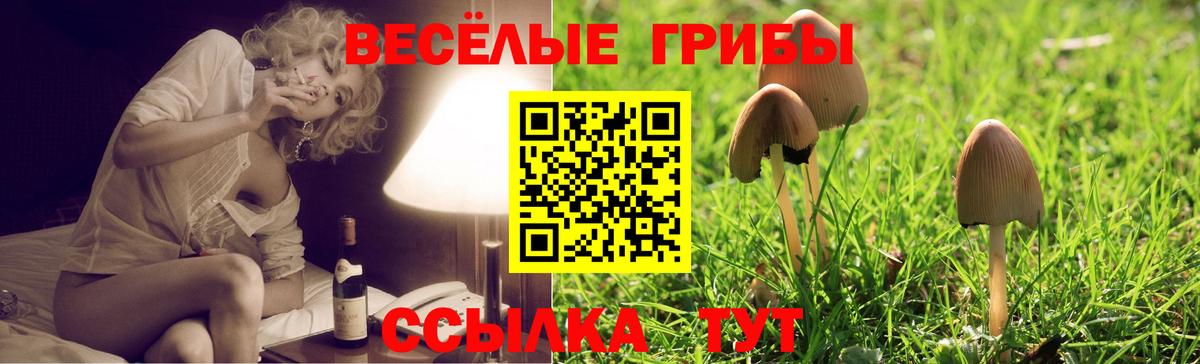 Псилоцибиновые грибы MAGIC MUSHROOMS  Галлюциногенные грибы Psilocybine cubensis  Вход с VPN  Красноярск 